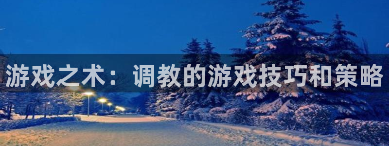 沐鸣1在线登录：游戏之术：调教的游戏技巧和策略
