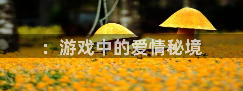 沐鸣：：游戏中的爱情秘境