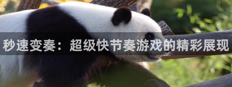 沐鸣娱乐登录地址